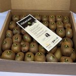 Kiwi Asturiano 6 kg caja de la huerta de CasaBartuelo