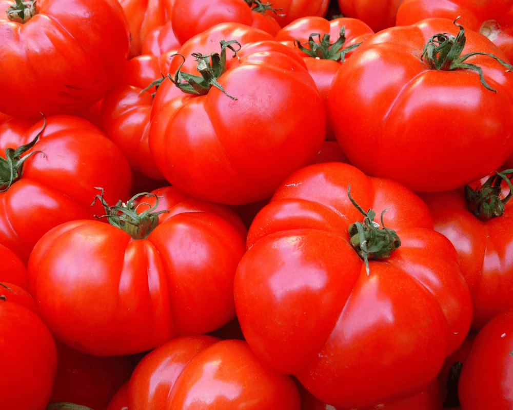 tomates asturianos varios