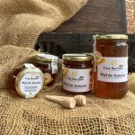Miel asturiana