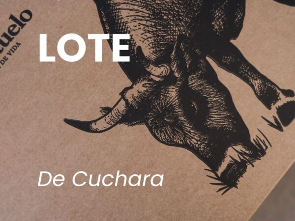 LOTE-3-cuchara