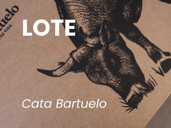 LOTE-9-cata