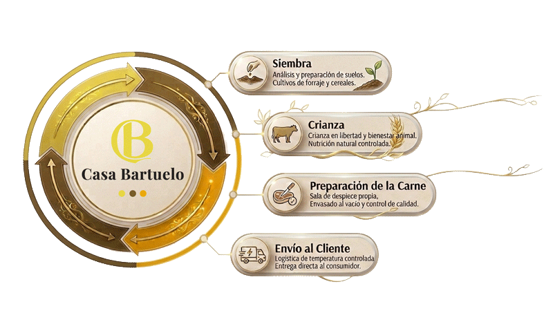 Ciclo-productivo-Casa-Bartuelo